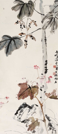 海棠梧桐