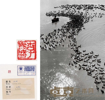 牧鸭 