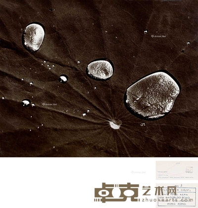 水珠 