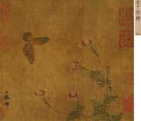 蝶恋花