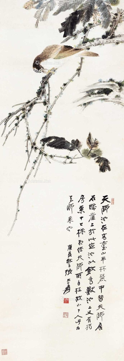 天师所见