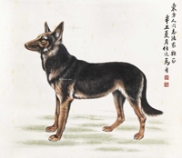 家犬