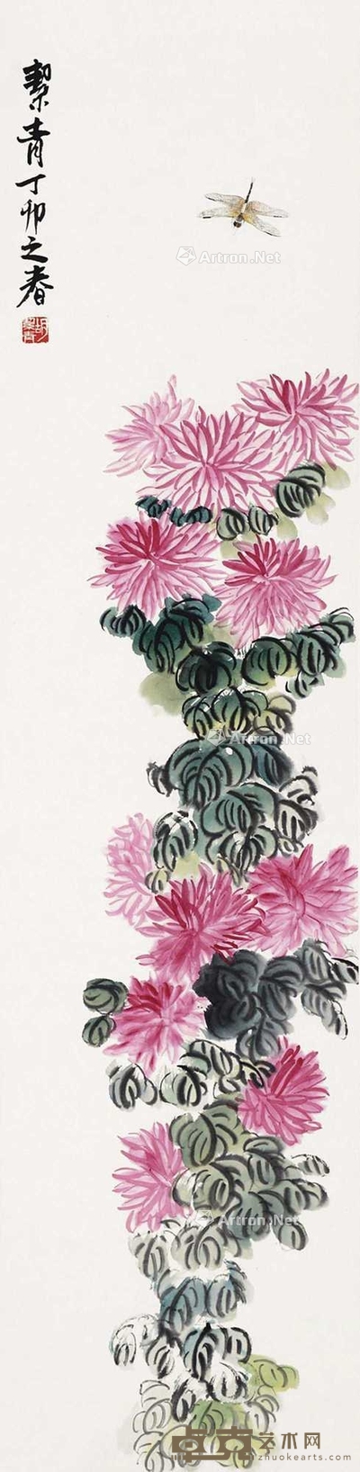 牡丹 