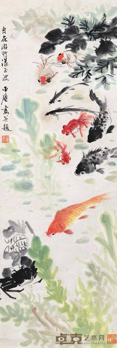 金鱼 