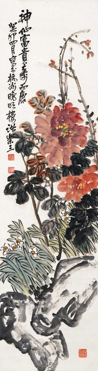菊