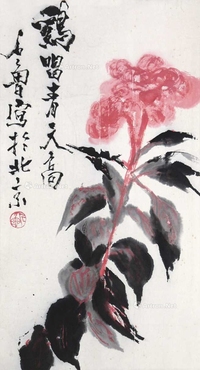 鸡冠花