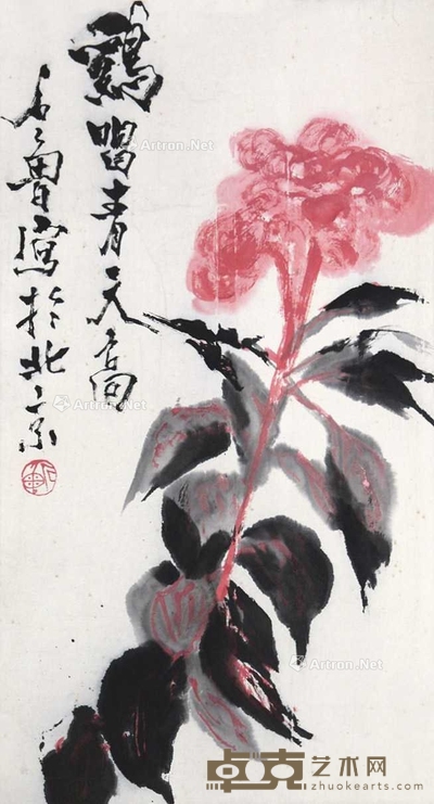 鸡冠花 