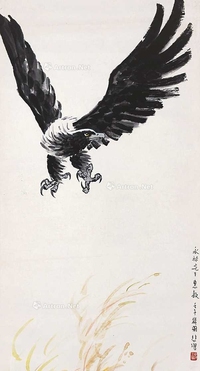 鹰