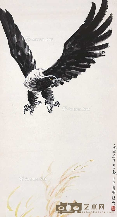 鹰