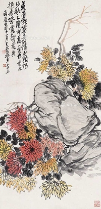 菊石图