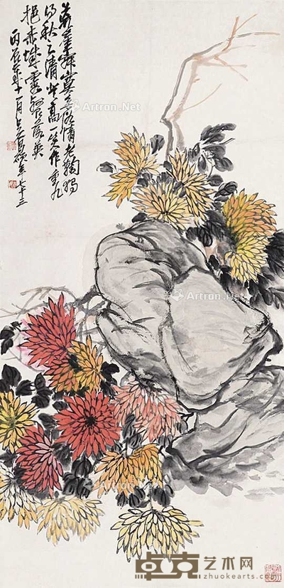 菊石图 
