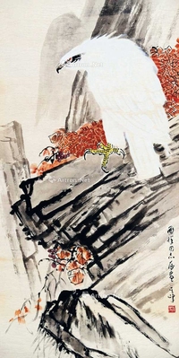 白鹰