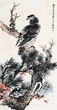 鹰
