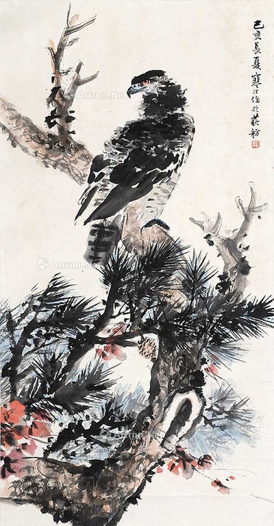 鹰