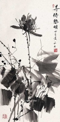墨荷