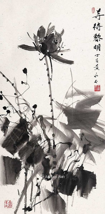 墨荷