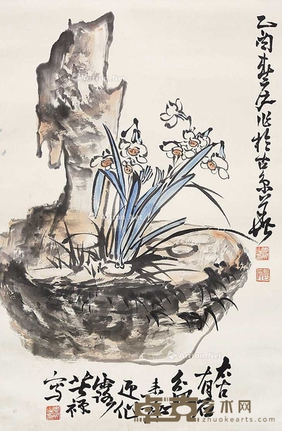寿石水仙（附出版物） 