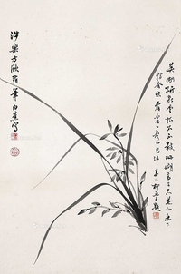 兰草