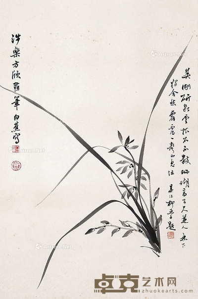 兰草