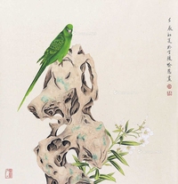 鹦鹉