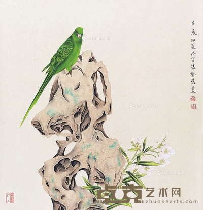 鹦鹉 