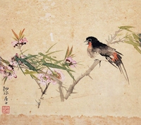 花鸟