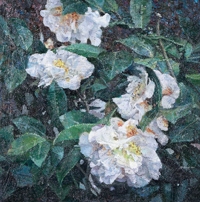 茶花系列之一