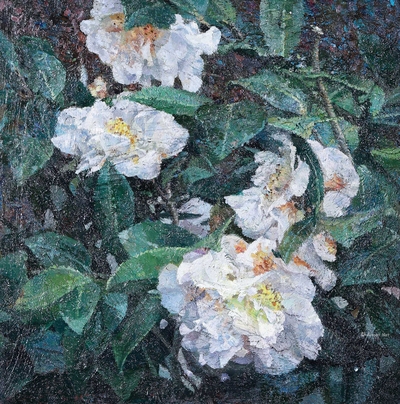 茶花系列之一