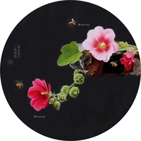 细嗅5
