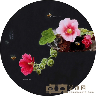 细嗅5 