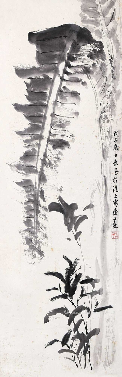 芭蕉