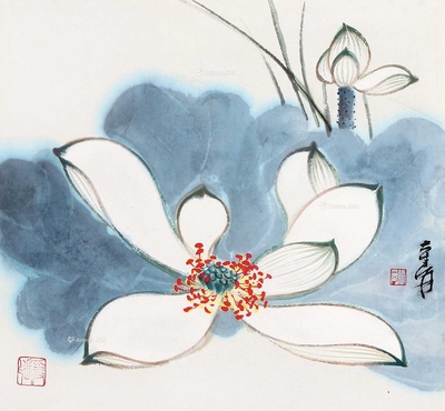 荷花