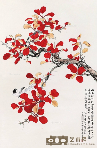 红叶小鸟