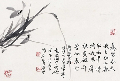 兰花