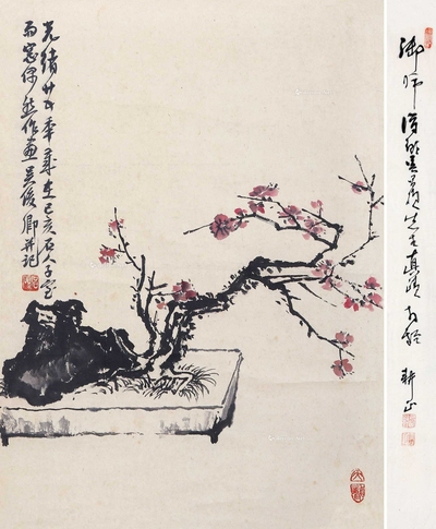 盆景
