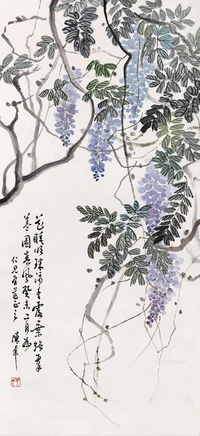紫藤