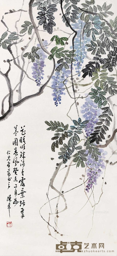 紫藤