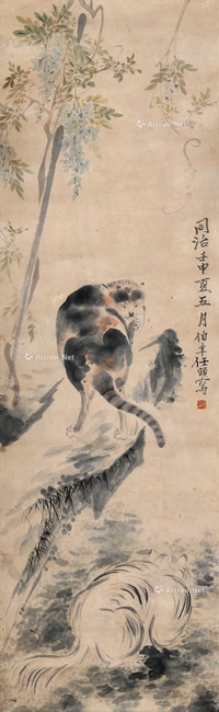 猫