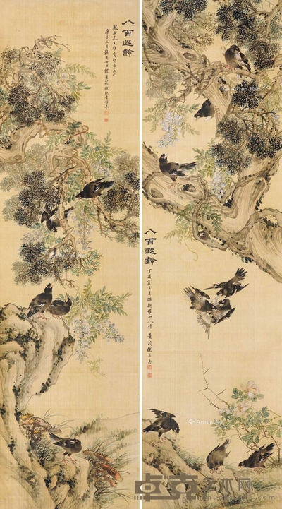 八百遐龄 