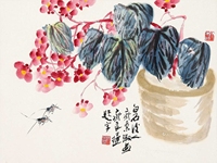 海棠草虫