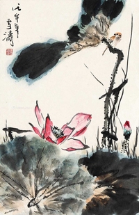 花鸟