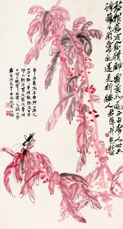 红叶蝈蝈