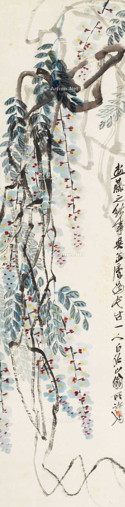 紫藤明珠
