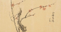 红梅表瑞