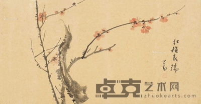 红梅表瑞