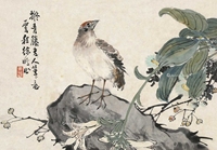 花鸟