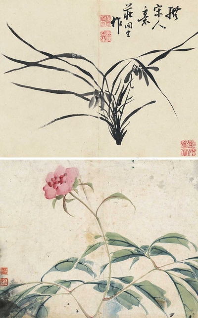 兰花