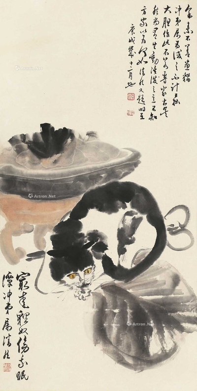 猫
