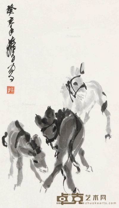 驴