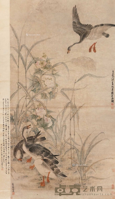 芙蓉芦雁图